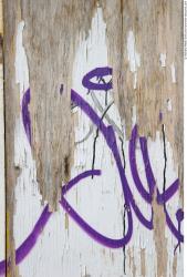 Photo Textures of Wood 