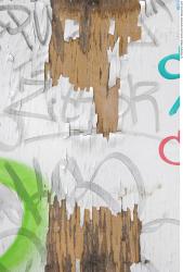 Photo Textures of Wood 