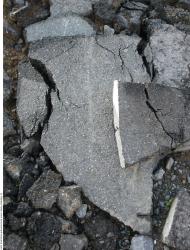 Photo Textures of Grounds