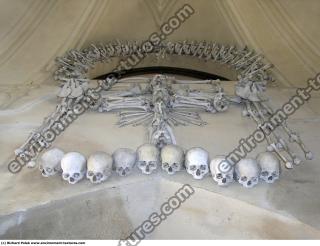 Photo Textures of Bones