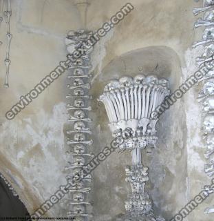 Photo Textures of Bones