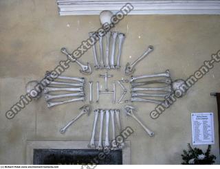 Photo Textures of Bones