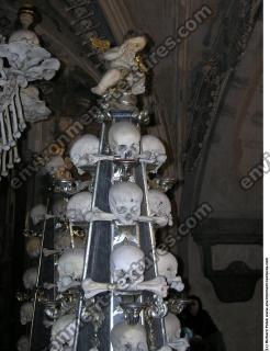 Photo Textures of Bones