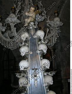 Photo Textures of Bones