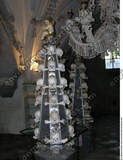 Photo Textures of Bones