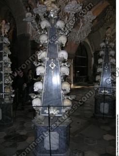 Photo Textures of Bones