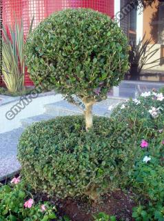 artificial ornamental plant