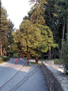 Photo Textures of Trees