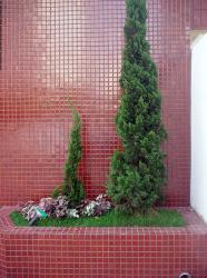 Photo Textures of Trees