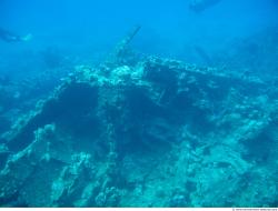 Photo Textures of Corals