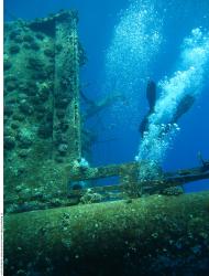 Photo Reference of Shipwreck