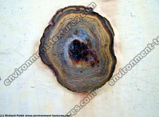 Photo Texture of Metal Rusted Detail