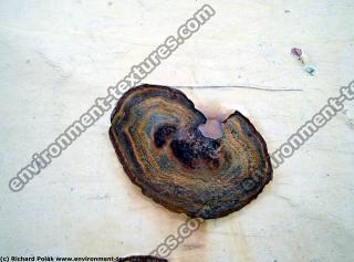 Photo Texture of Metal Rusted Detail