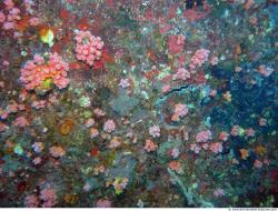 Photo Reference of Shipwreck