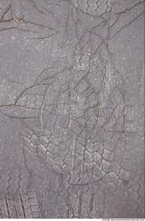 Photo Textures of Asphalt