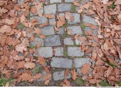 Photo of Mixed Textures