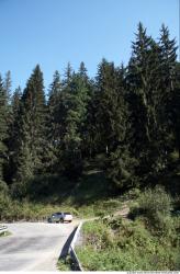 Photo Textures of Background Forest