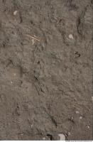 photo texture of mud