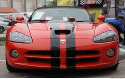 Photo Reference of Viper