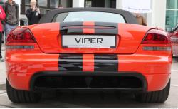 Photo Reference of Viper