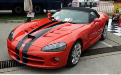 Photo Reference of Viper