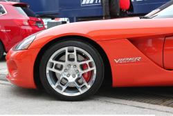 Photo Reference of Viper