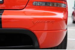 Photo Reference of Viper