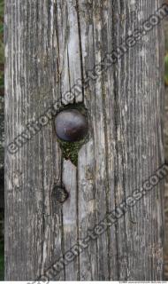 Photo Textures of Wood Bare