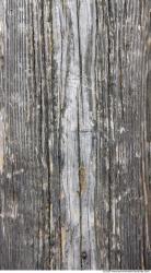 Photo Textures of Wood Bare