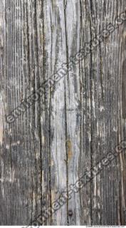 Photo Textures of Wood Bare