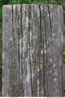 Photo Textures of Wood Bare