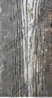 Photo Textures of Wood Bare