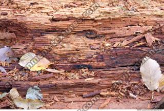 Wood