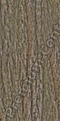 Seamless Bark