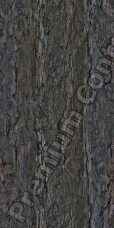 Seamless Bark