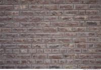 Walls Brick 0059