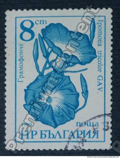 Photo Texture of Postage Stamp