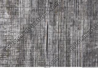 Photo Texture of Wood