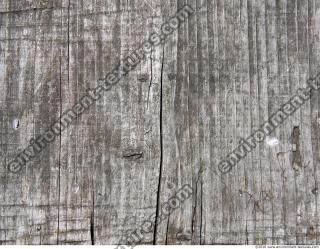 Photo Texture of Wood