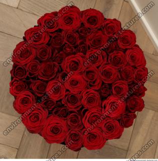 Photo Textures of Flowers