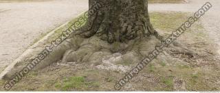 Photo of Mixed Textures