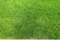 Photo of Mixed Textures