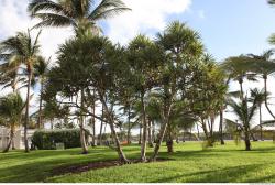 Photo of Mixed Miami Textures