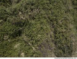 Photo Textures of Mixed Nature