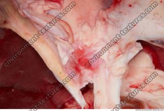 Photo Textures of RAW Beef Meat