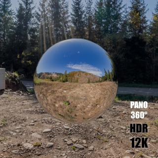 HDR Panorama 360° of Background Nature Forest