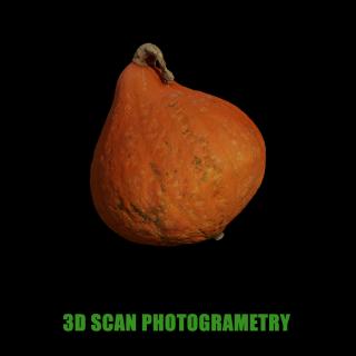 3D Scan of Pumpkin #3